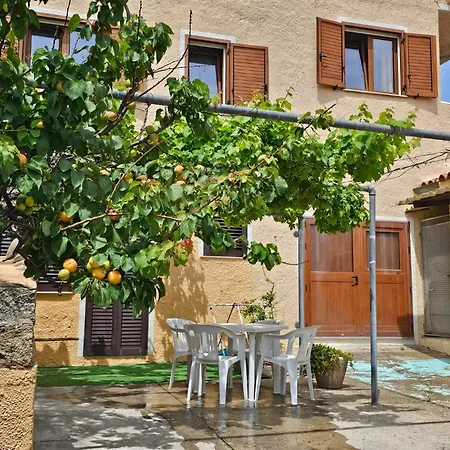 Mono Il Porto Gallura *